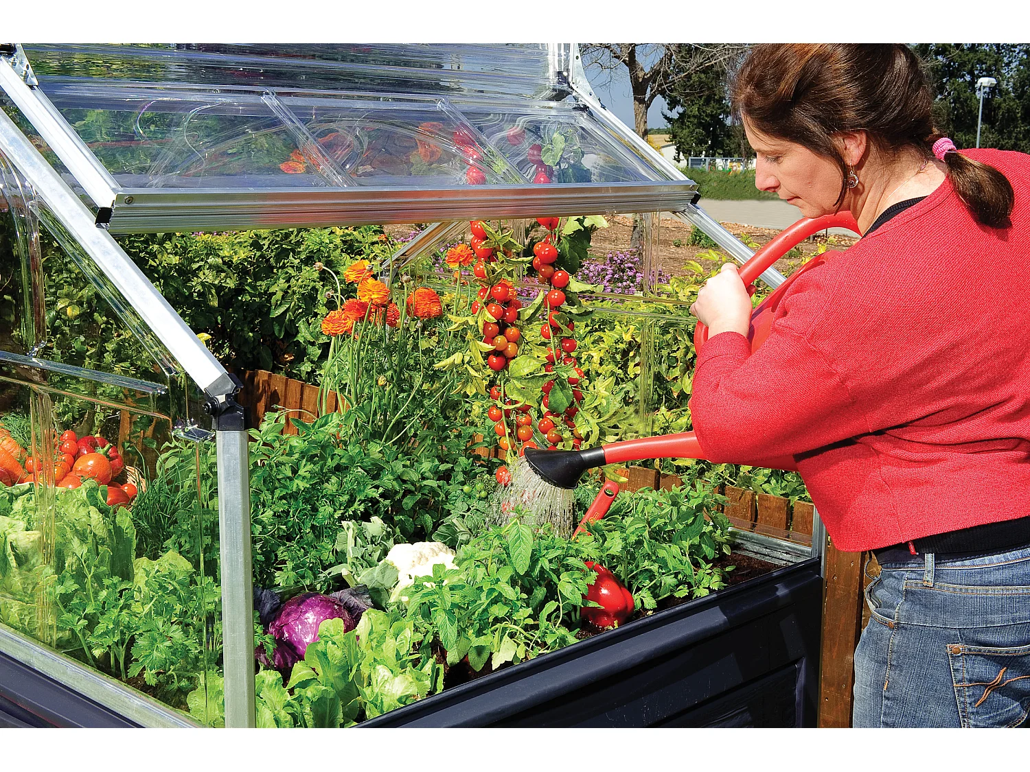 Canopia Mini-serre de jardin Plant-Inn 118 x 118 cm