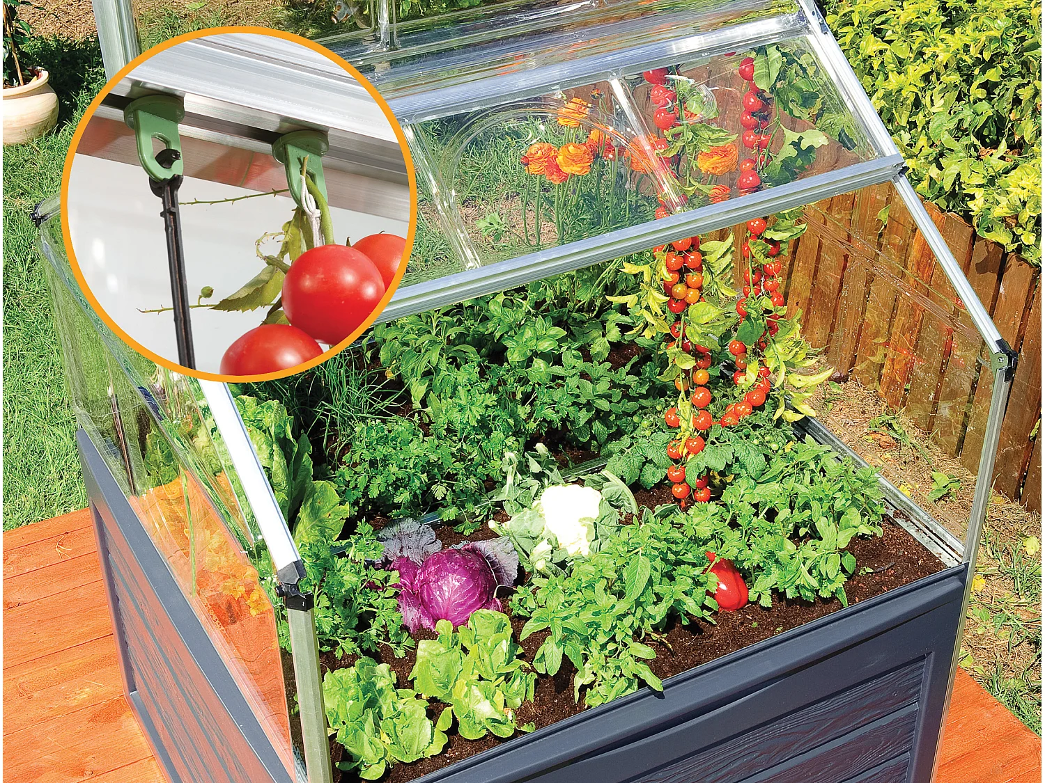 Canopia Mini-serre de jardin Plant-Inn 118 x 118 cm
