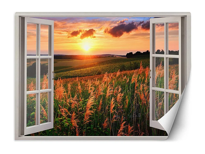 Carta Da Parati, Finestra - Vista del tramonto su un prato - 280x200