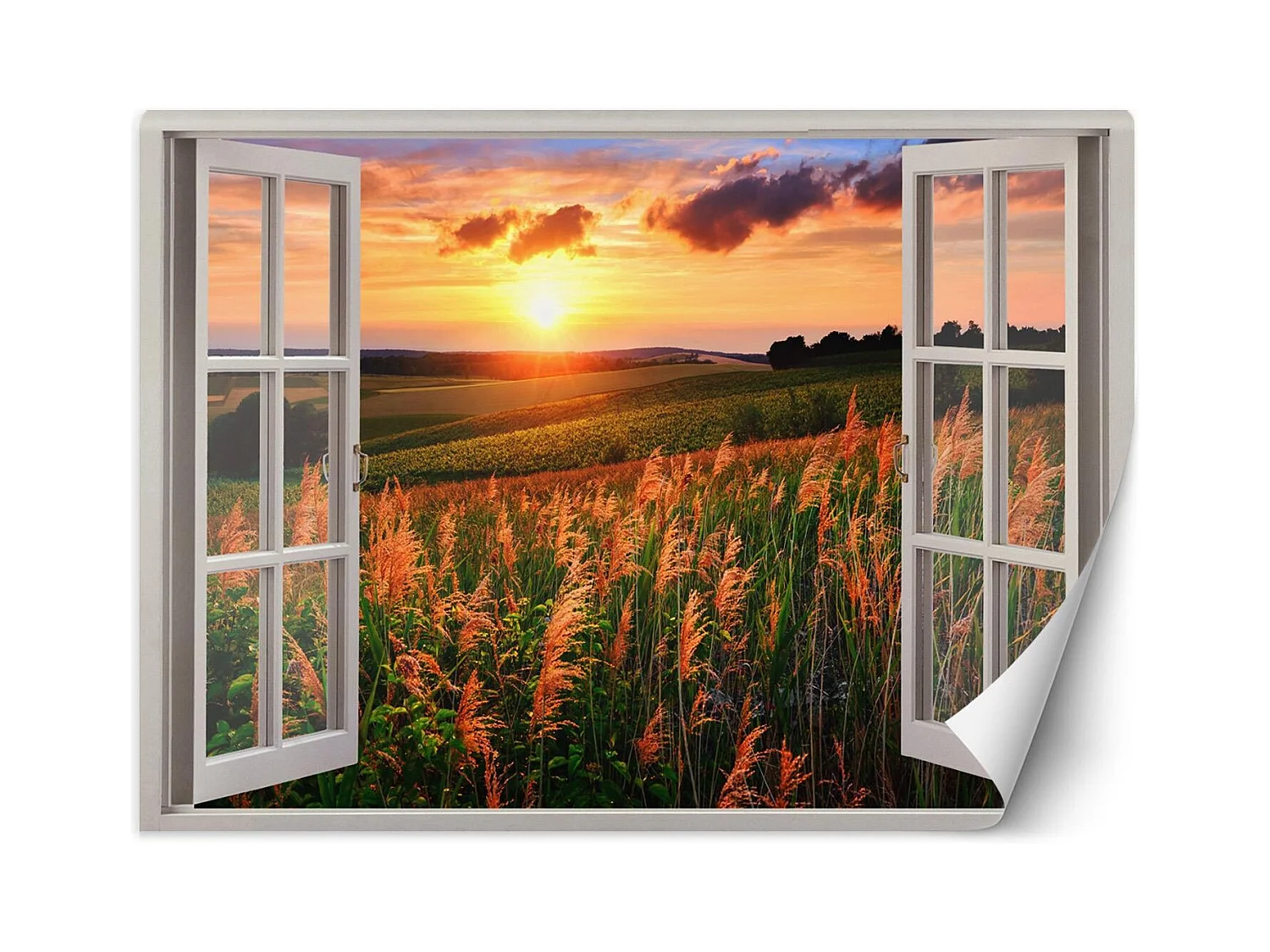 Carta Da Parati, Finestra - Vista del tramonto su un prato - 280x200