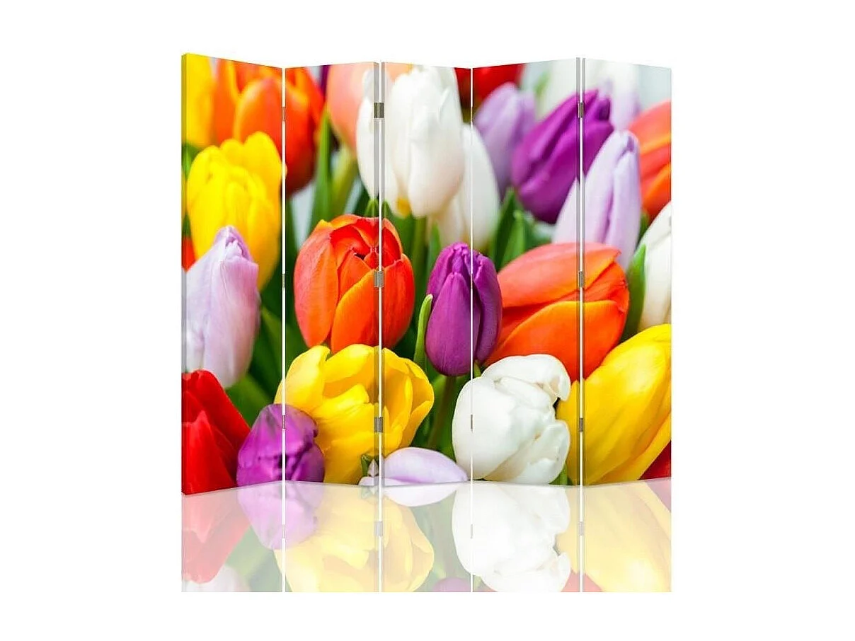 Paravento bilaterale, Tulipani colorati - 180x170