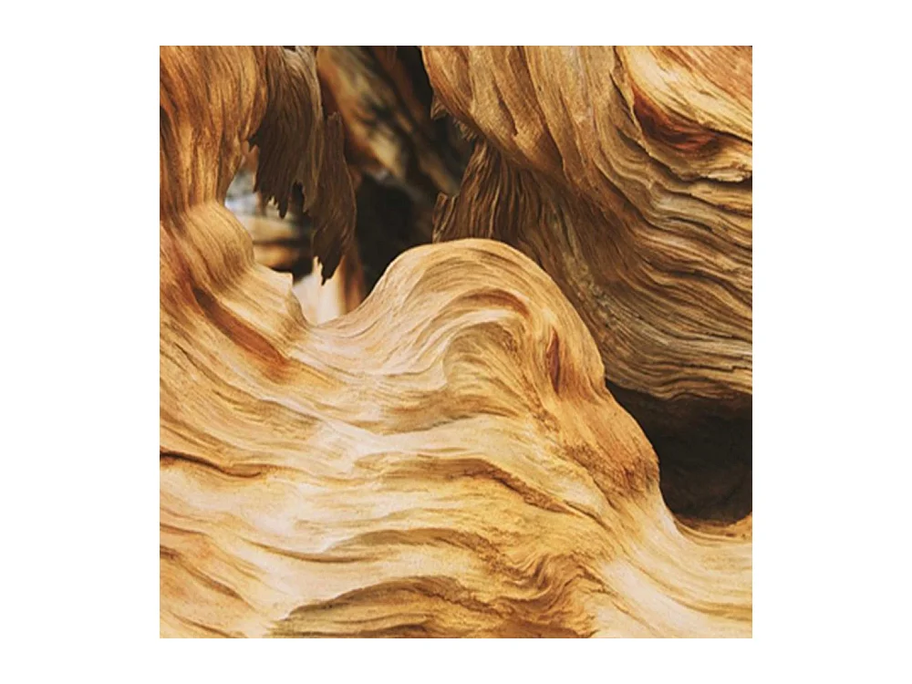 Paravento bilaterale 360, Astrazione ondulata con legno - 180x170