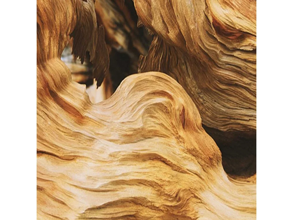 Paravento bilaterale 360, Astrazione ondulata con legno - 180x170