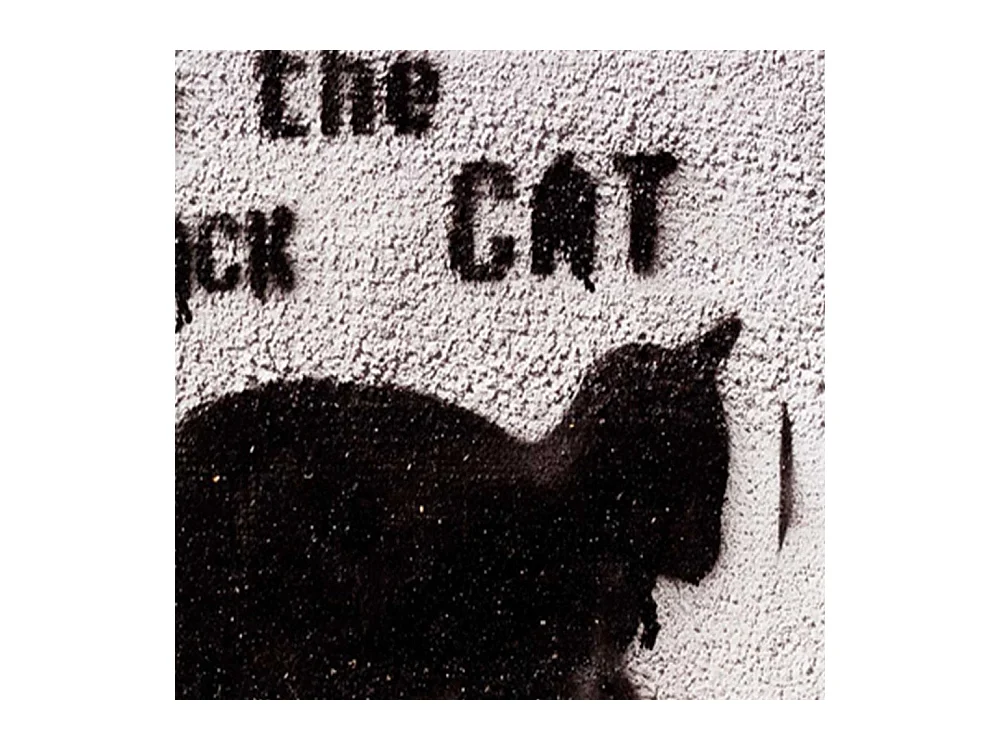 Paravento bilaterale 360, Seguire il gatto nero - 110x170