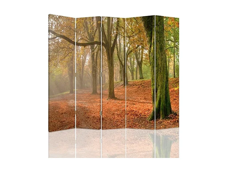 Paravento bilaterale, Autunno nella foresta - 180x170
