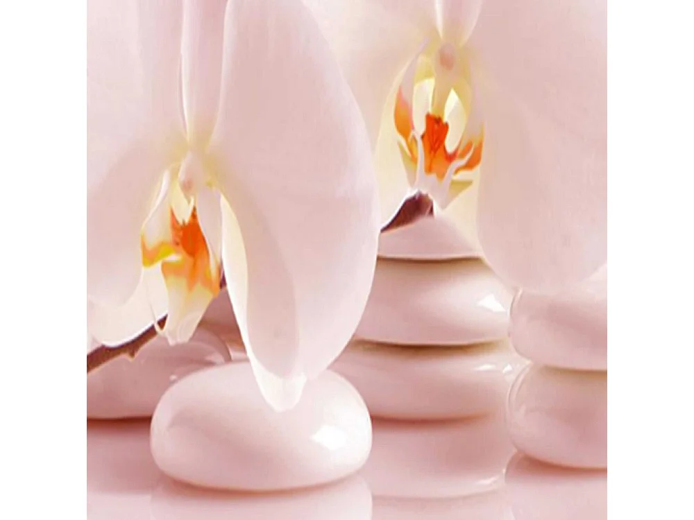 Paravento bilaterale, Orchidee zen - 180x170