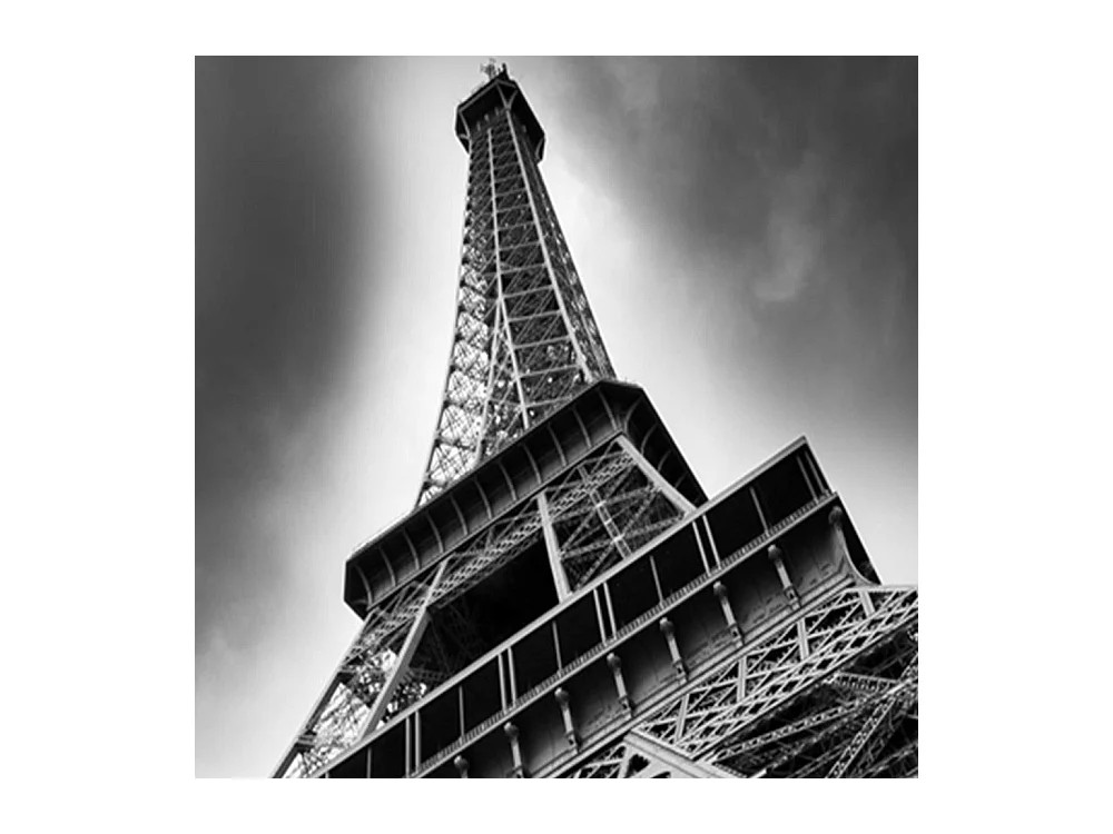 Paravento bilaterale, La Torre Eiffel vista dalla prospettiva di una rana - 145x170