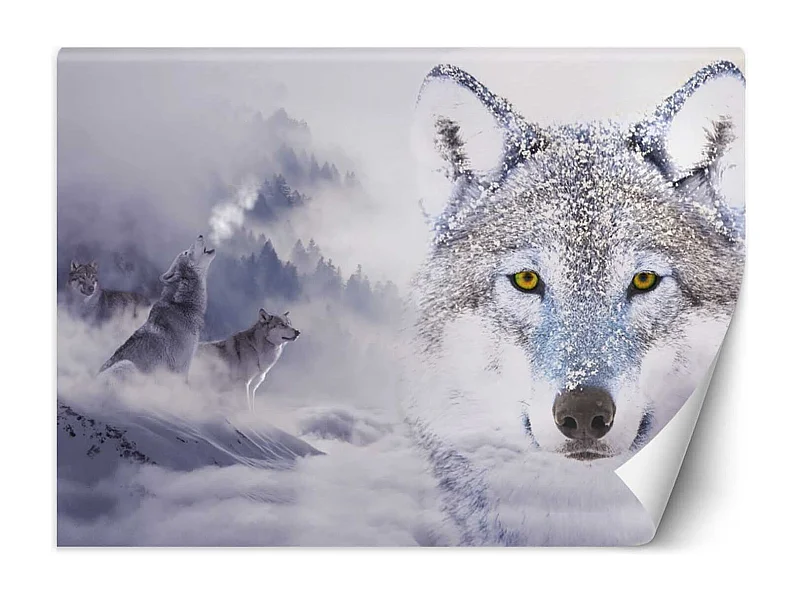Carta Da Parati, Lupo nella nebbia Animali della natura - 350x245