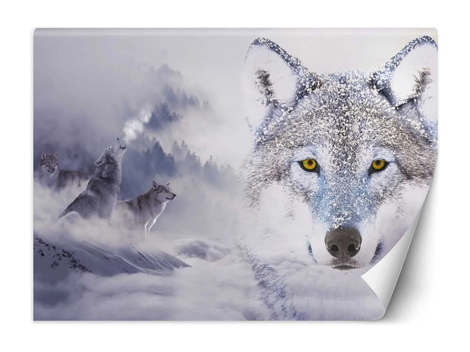 Carta Da Parati, Lupo nella nebbia Animali della natura - 350x245