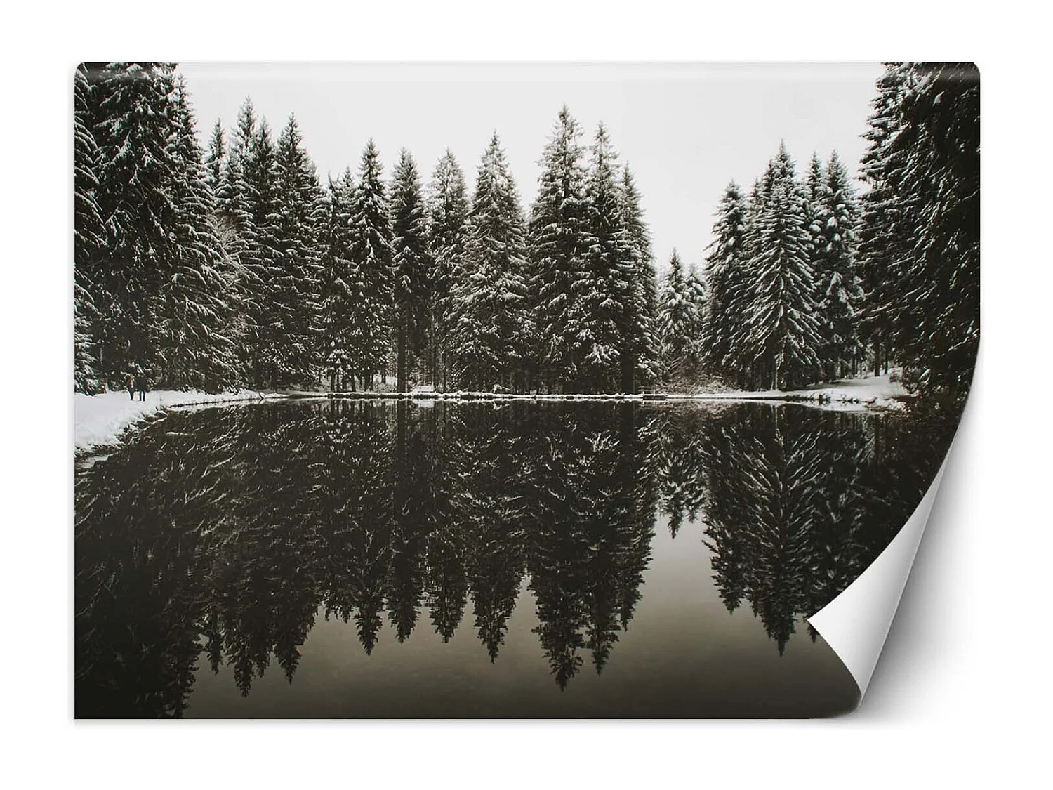 Carta Da Parati, Lago nella foresta in inverno - 350x245