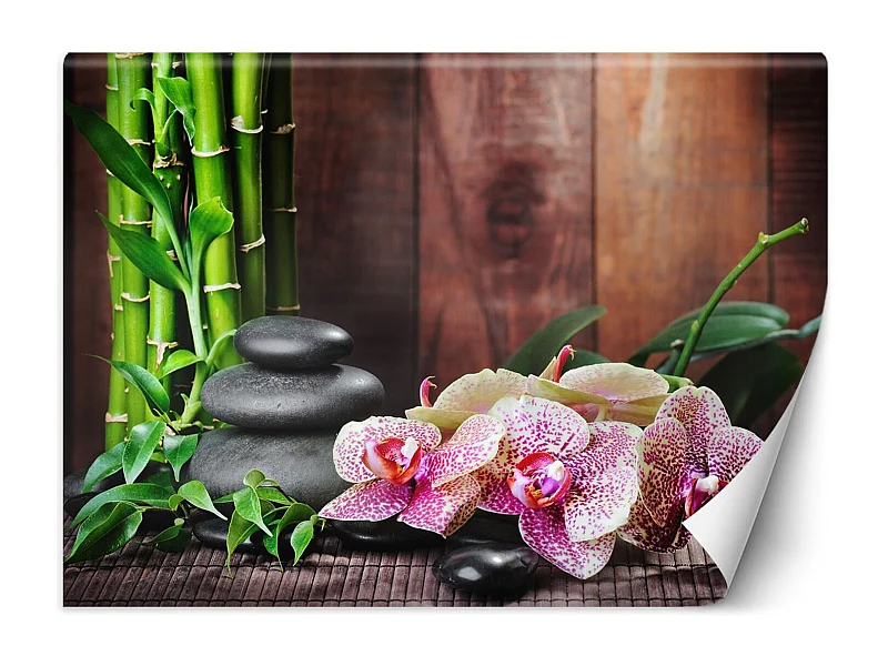Carta Da Parati, Orchidea con bambà¹ - 250x175