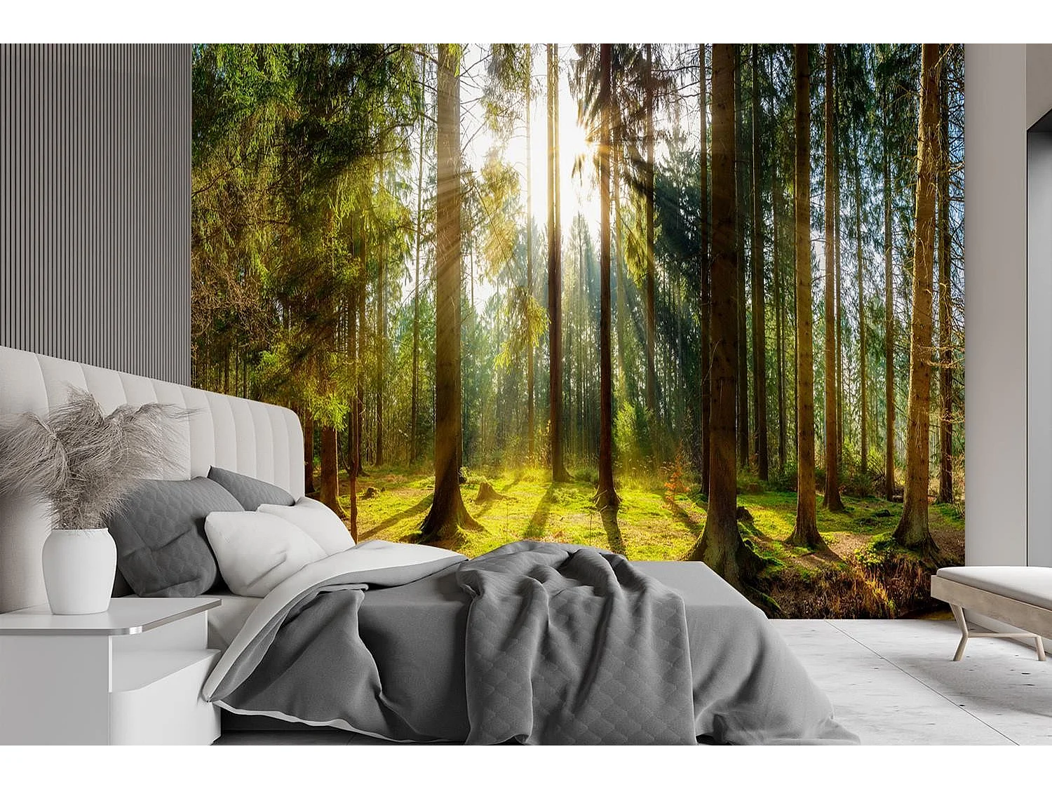 Carta Da Parati, Foresta in pieno sole - 300x210