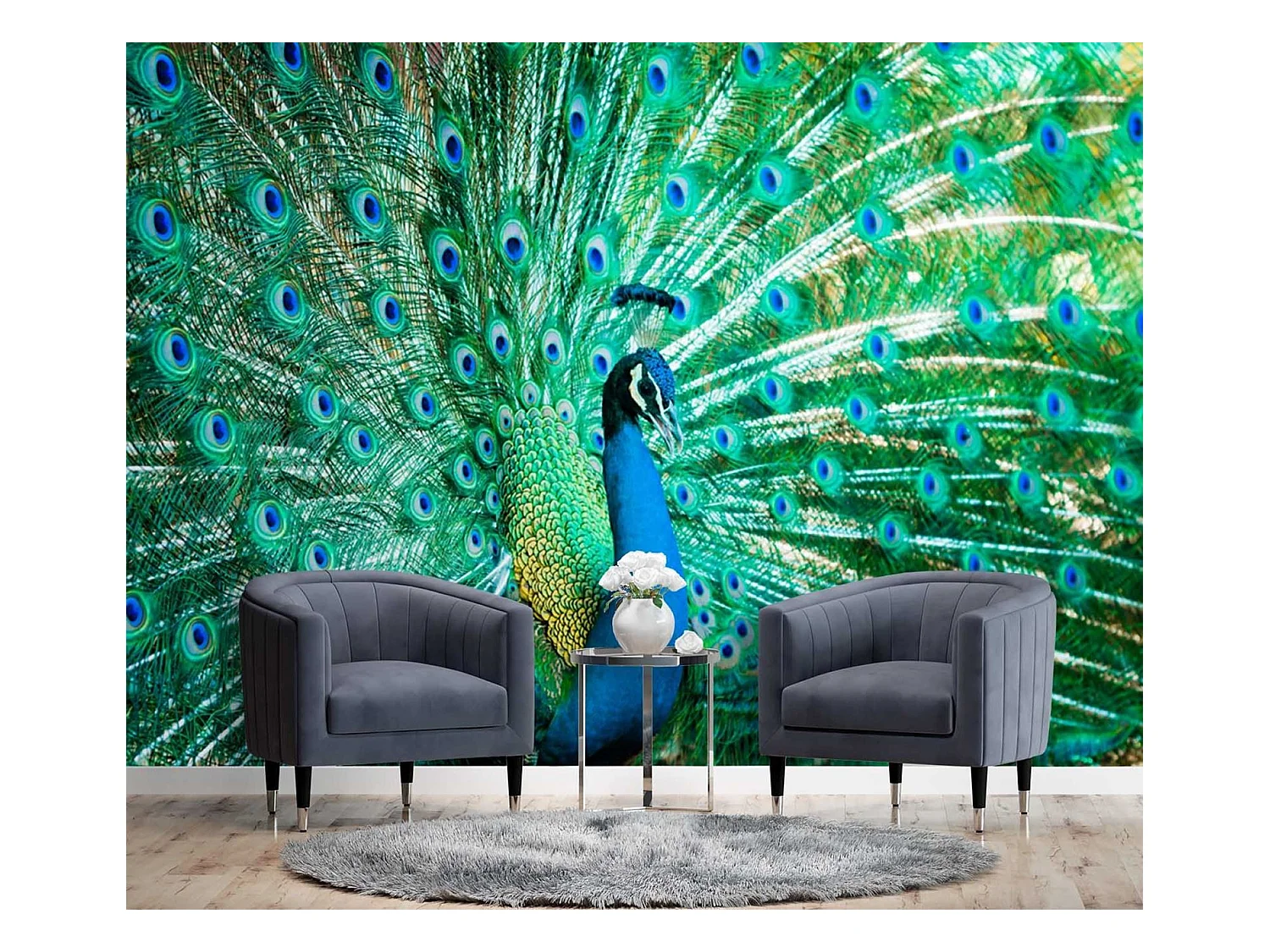 Carta Da Parati, Uccelli colorati Pavone Natura - 350x245