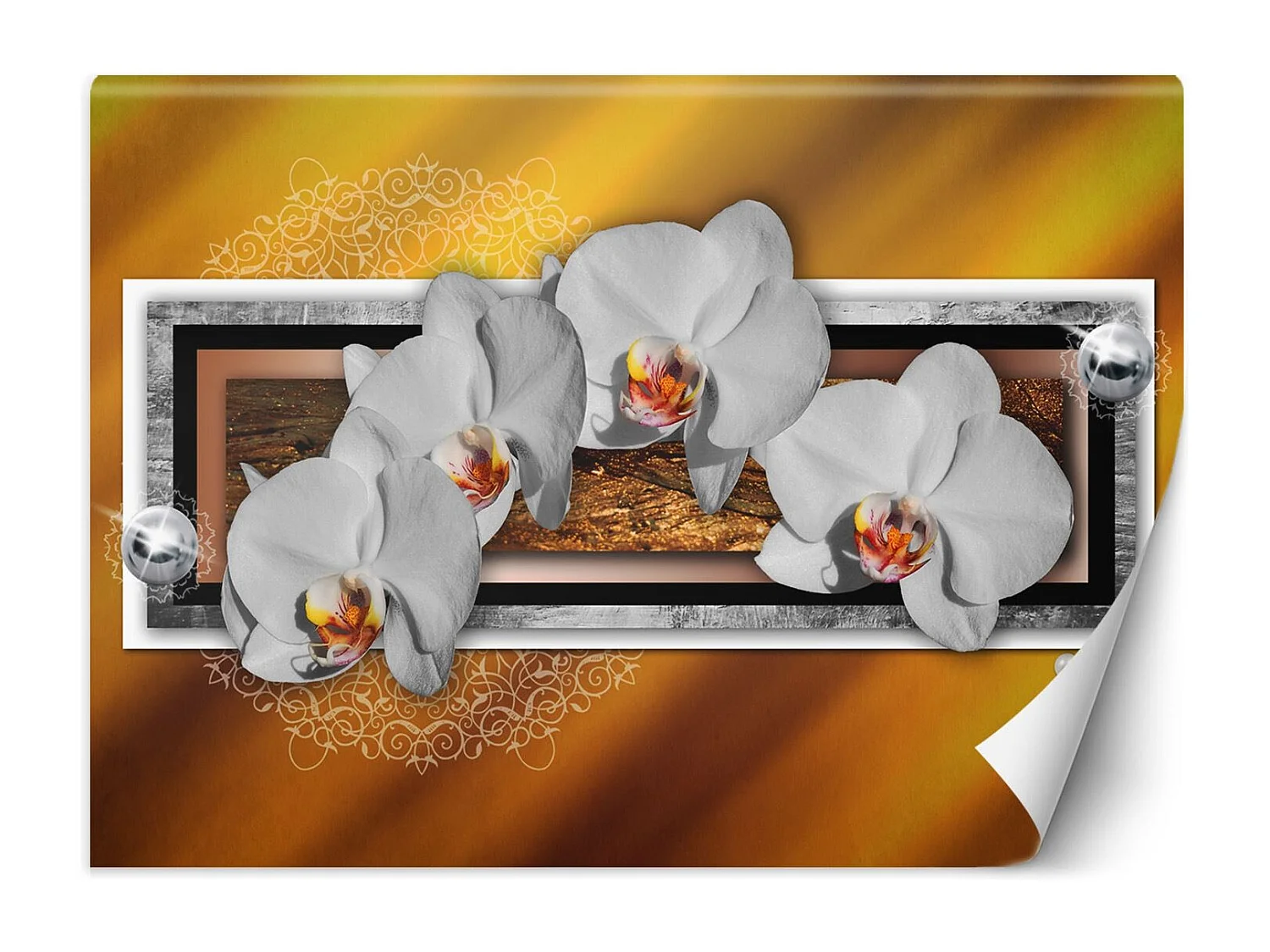 Carta Da Parati, Geometria e orchidee - 350x245