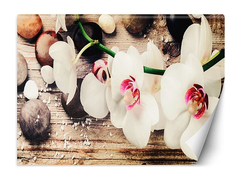 Carta Da Parati, Orchidee Zen - 300x210