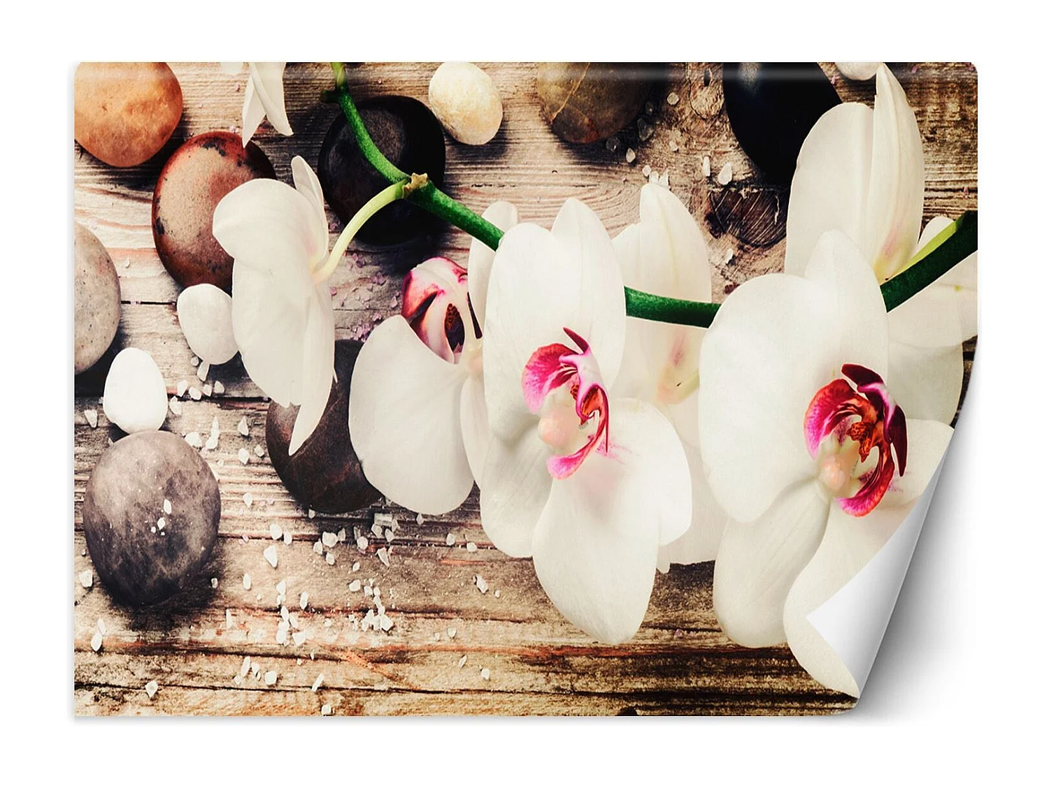 Carta Da Parati, Orchidee Zen - 300x210