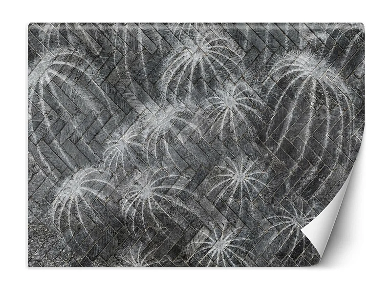 Carta Da Parati, Fiori di cactus grigio - 200x140