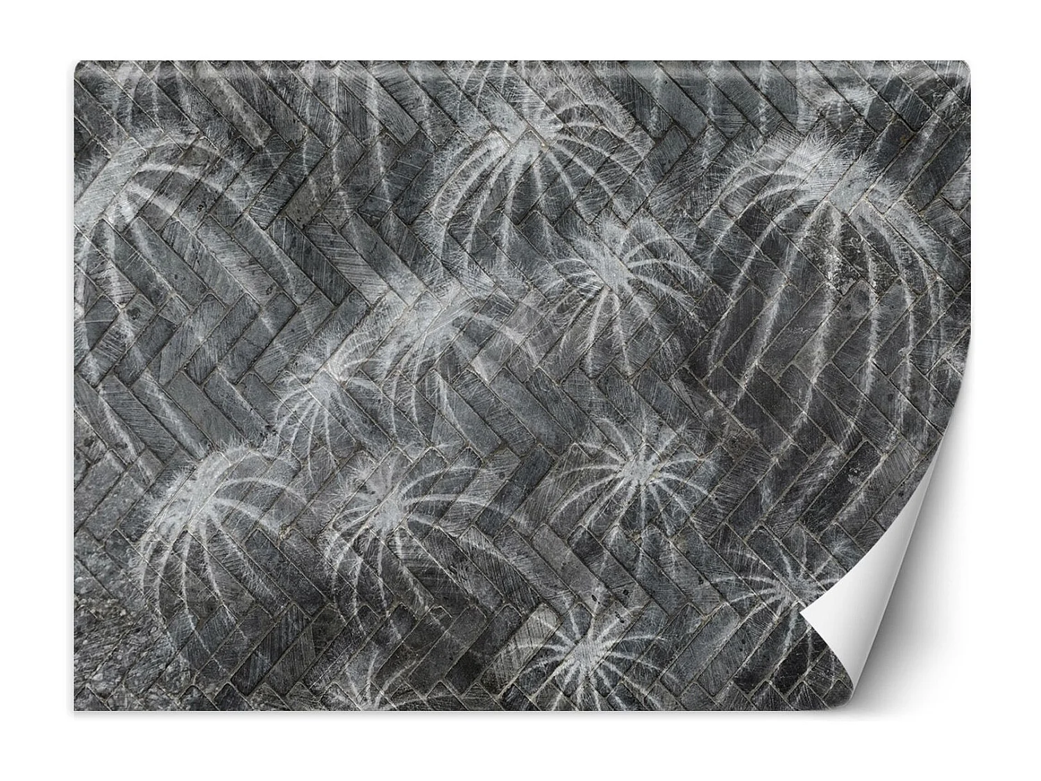 Carta Da Parati, Fiori di cactus grigio - 200x140