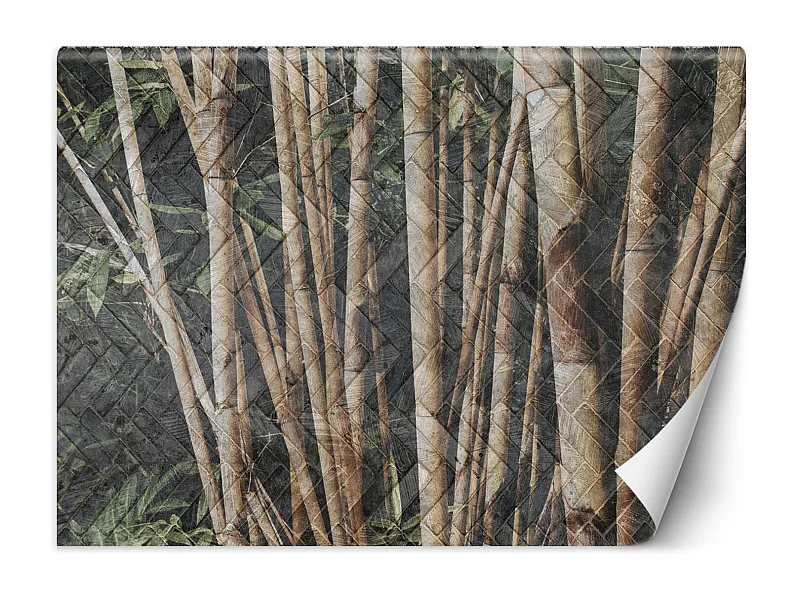 Carta Da Parati, Foresta di bambà¹ - 300x210