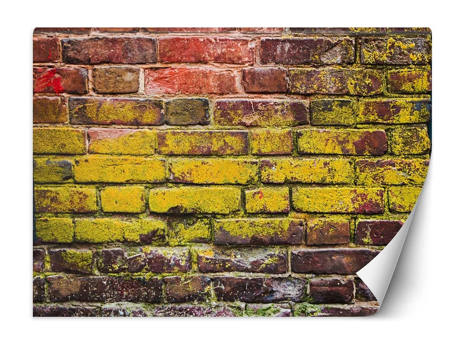 Carta Da Parati, Vecchio muro di mattoni colorati - 350x245