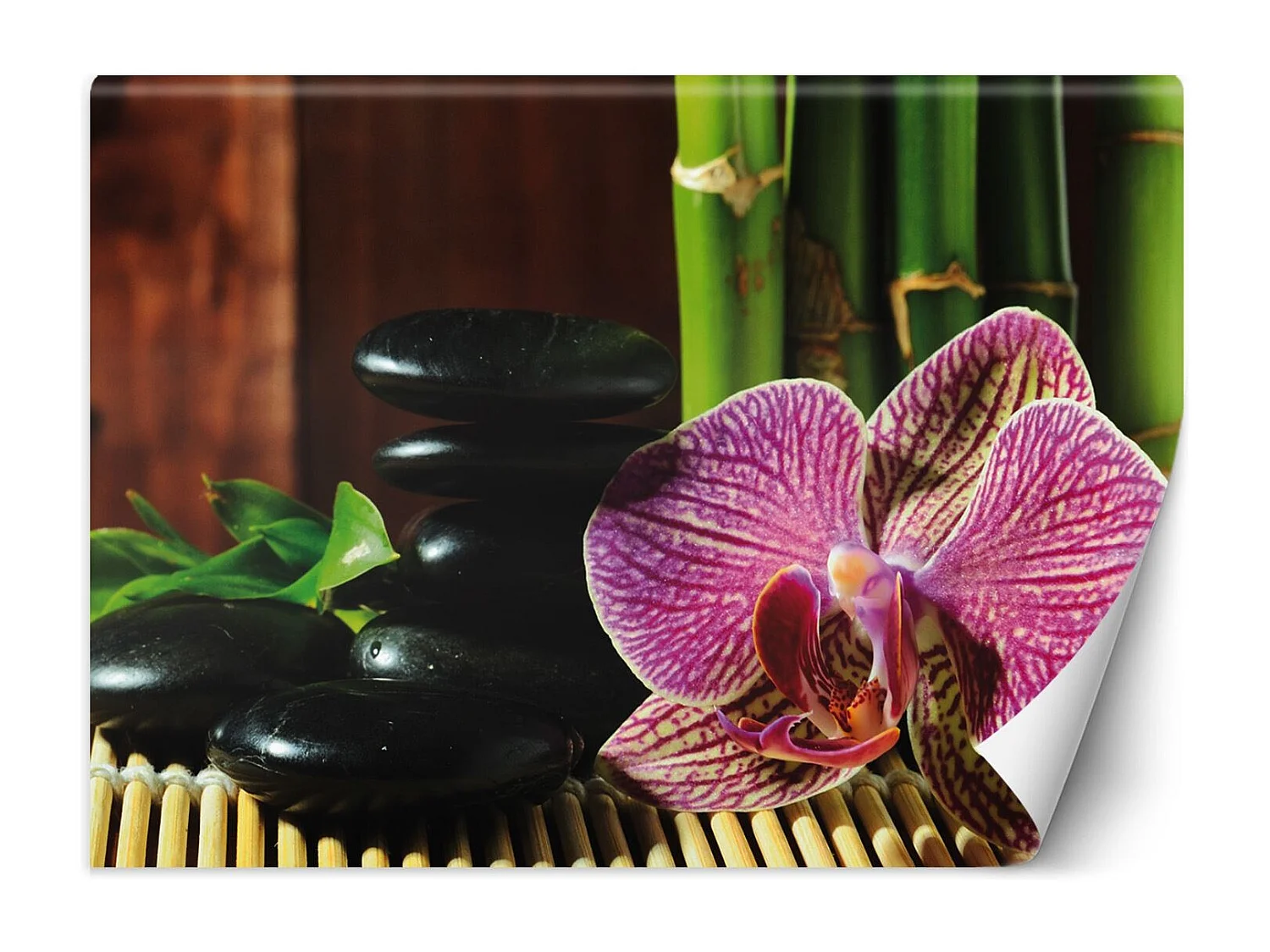 Carta Da Parati, Orchidea pietre zen e bambà¹ - 450x315