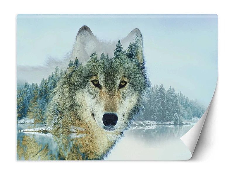 Carta Da Parati, Lupo su uno sfondo di foresta - 450x315