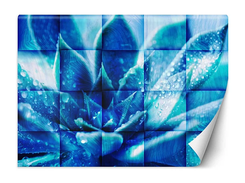 Carta Da Parati, Fiore blu - 350x245