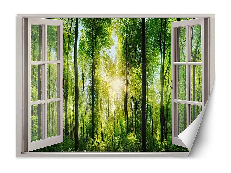 Carta Da Parati, Vista finestra raggi di sole nella foresta - 140x100