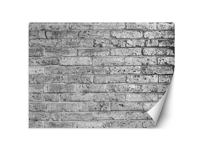 Carta Da Parati, Muro di mattoni grigio effetto pietra - 250x175