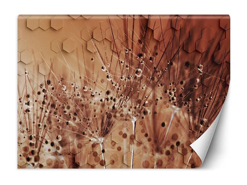 Carta Da Parati, Tarassaco in gocce di rugiada marrone - 254x184