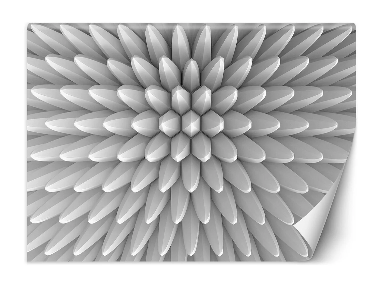 Carta Da Parati, Motivo astratto - 300x210