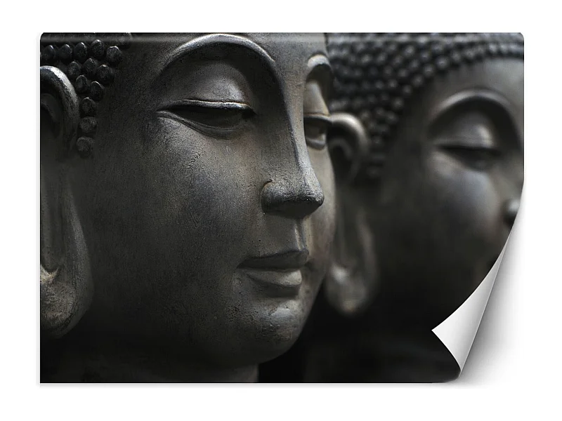 Carta Da Parati, Buddha in meditazione - 450x315