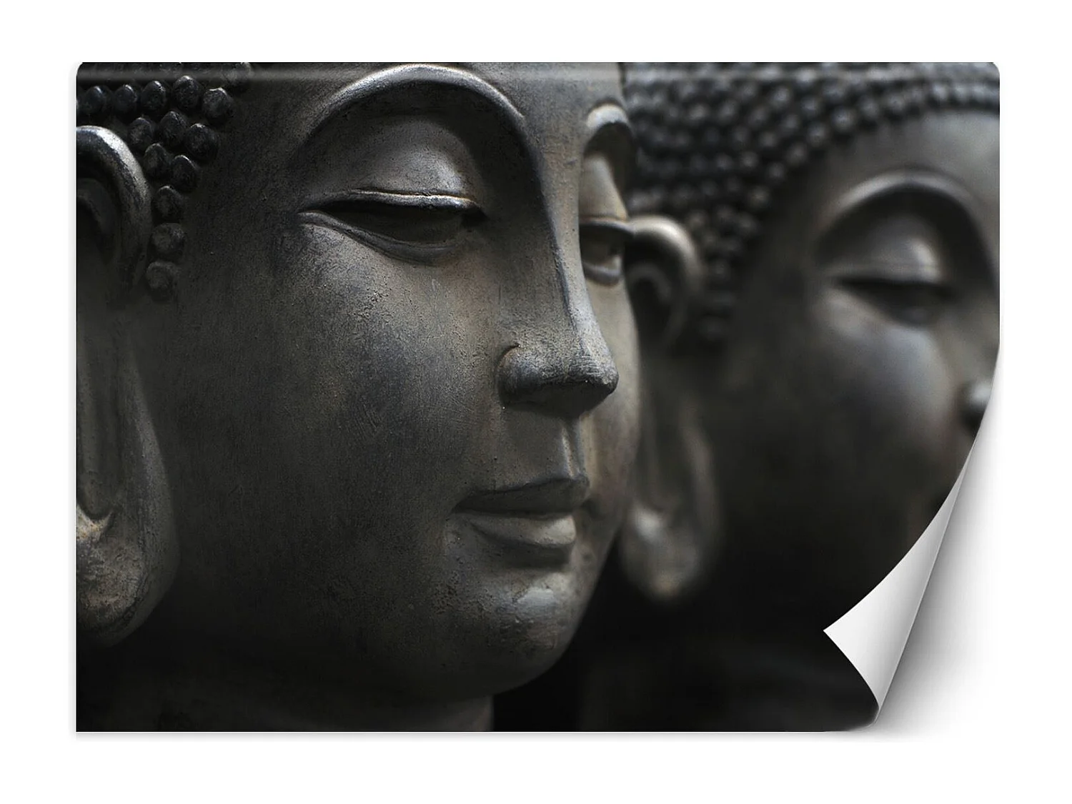 Carta Da Parati, Buddha in meditazione - 450x315