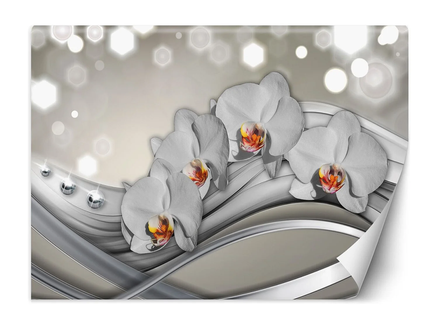 Carta Da Parati, Orchidee e onde - 450x315