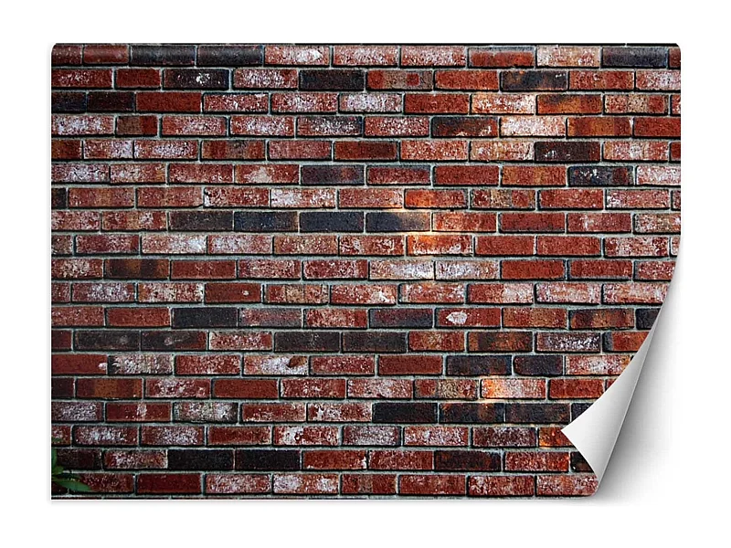 Carta Da Parati, Muro di mattoni rossi - 350x245