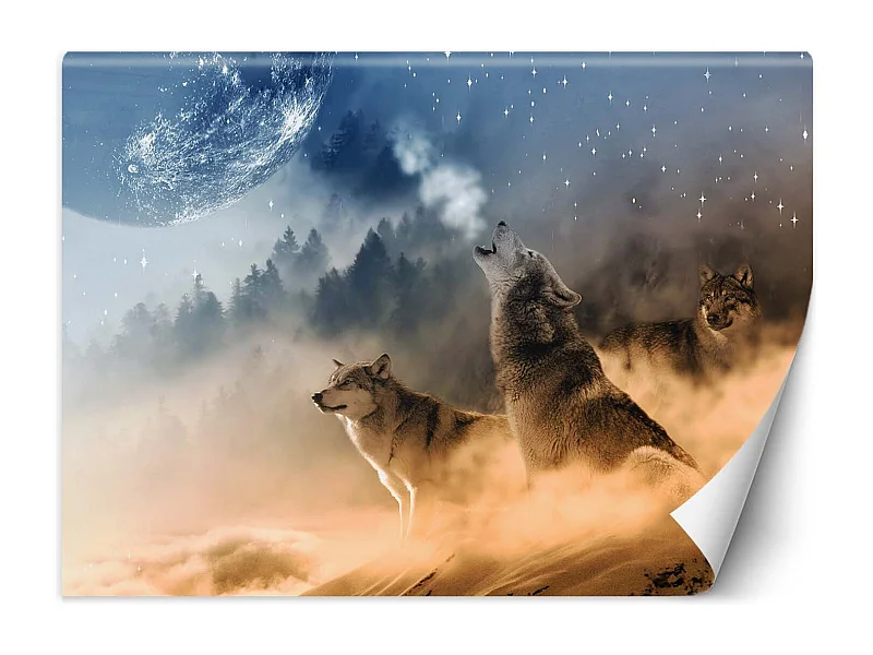 Carta Da Parati, lupi animali foresta natura - 300x210