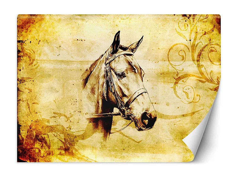 Carta Da Parati, Testa di cavallo retrà² - 200x140