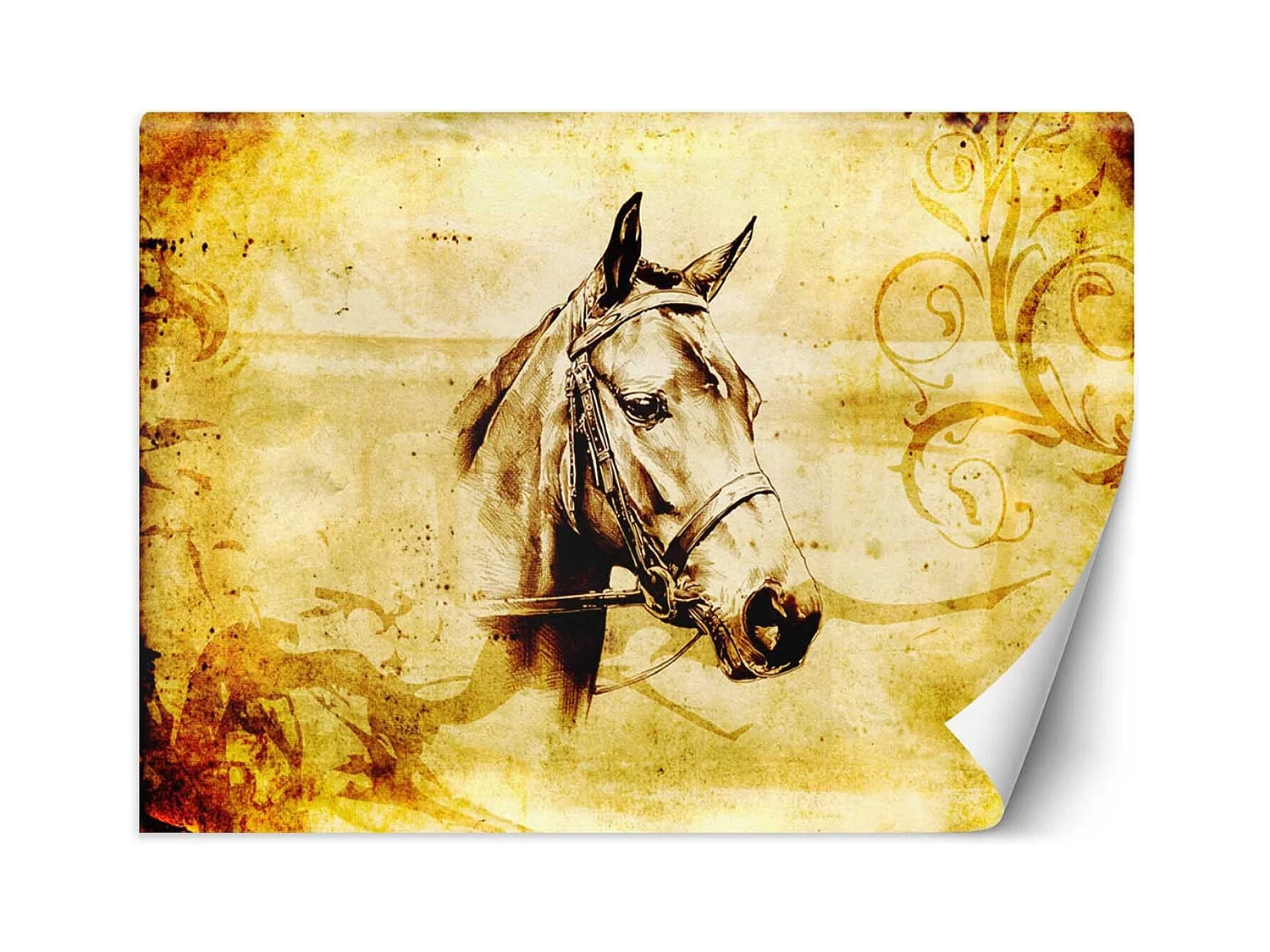 Carta Da Parati, Testa di cavallo retrà² - 200x140