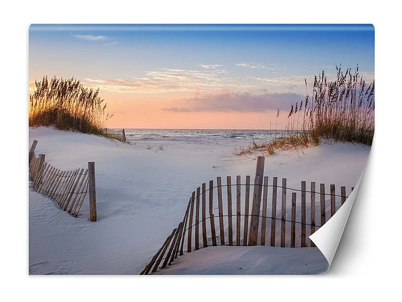 Carta Da Parati, Mare Spiaggia Dune Sabbia - 350x245