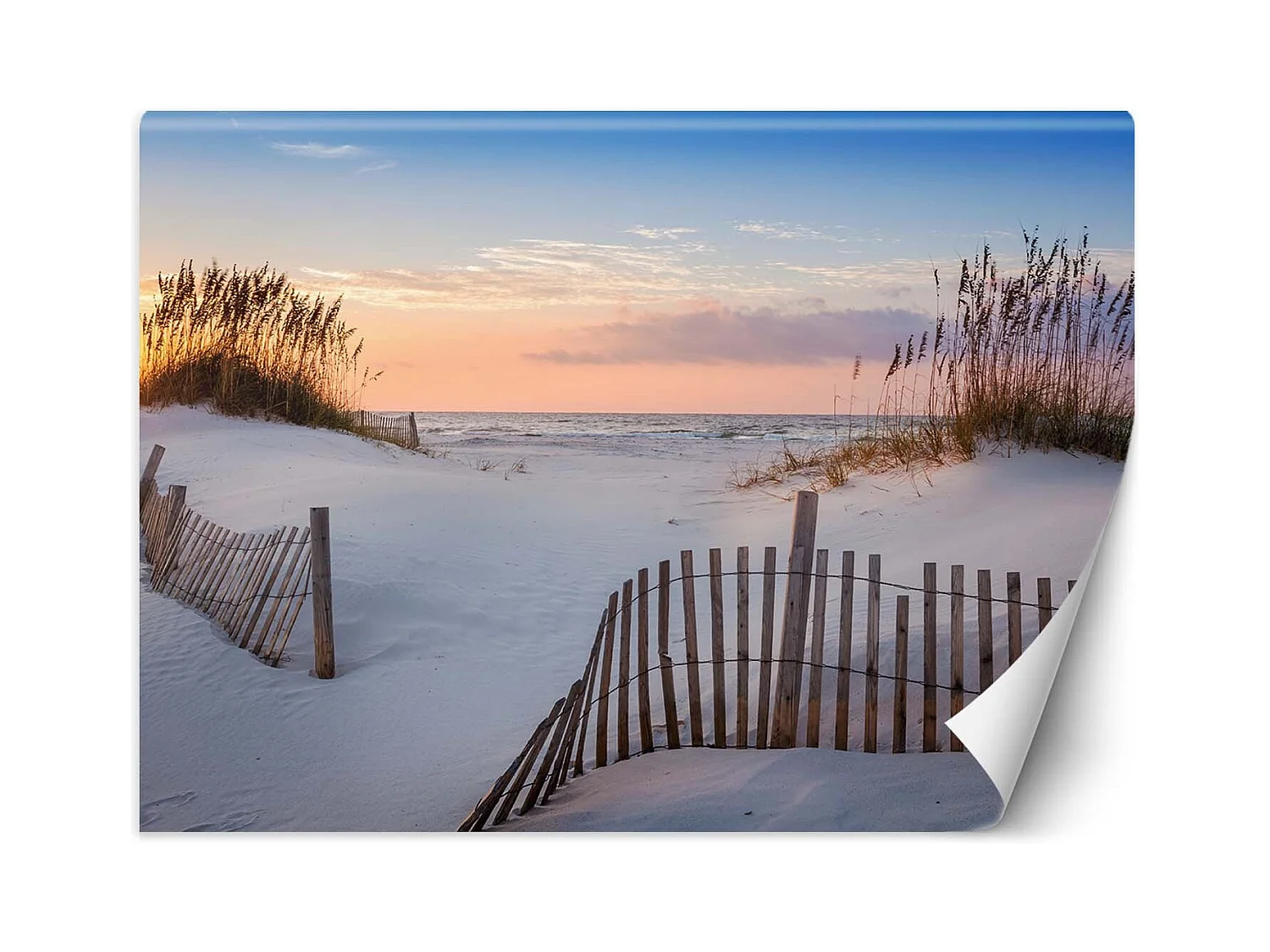 Carta Da Parati, Mare Spiaggia Dune Sabbia - 350x245