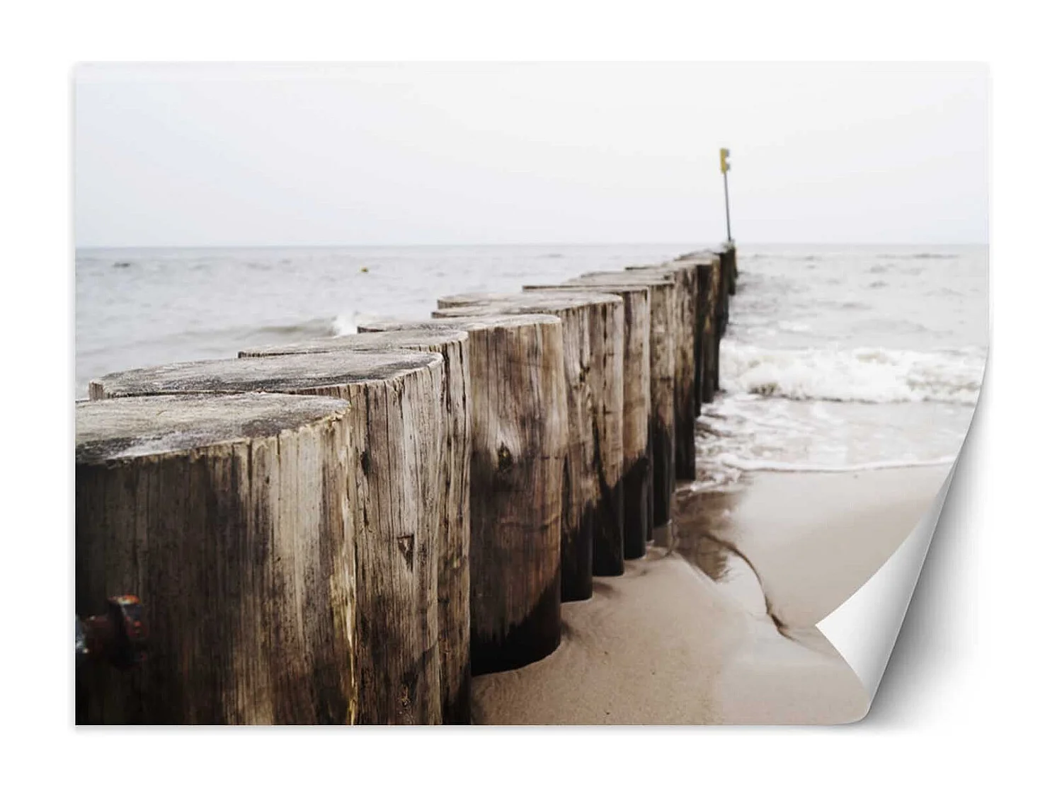 Carta Da Parati, Mare spiaggia frangiflutti paesaggio - 350x245