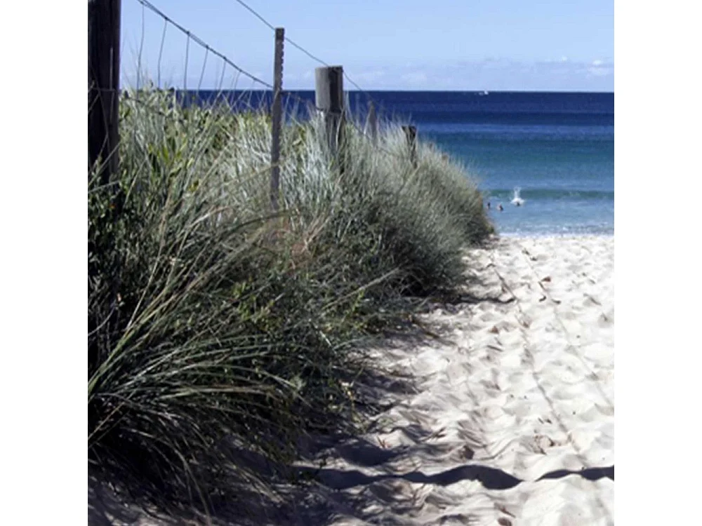 Paravento bilaterale, Sentiero tra le dune - 180x170