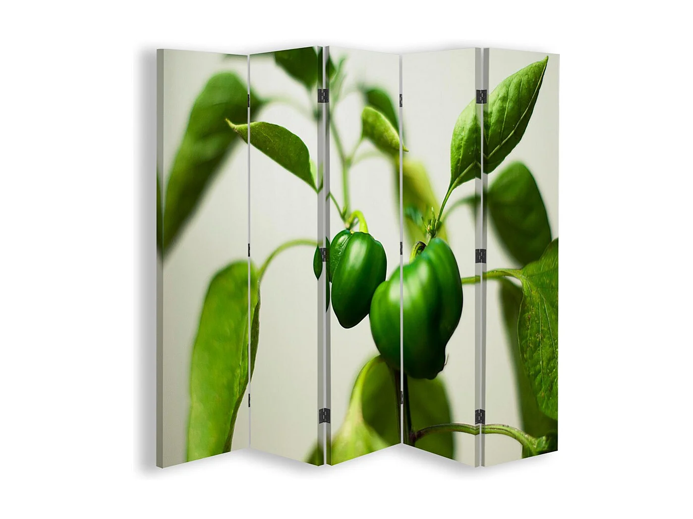 Paravento bilaterale, Peperone verde su un ramo - 180x170