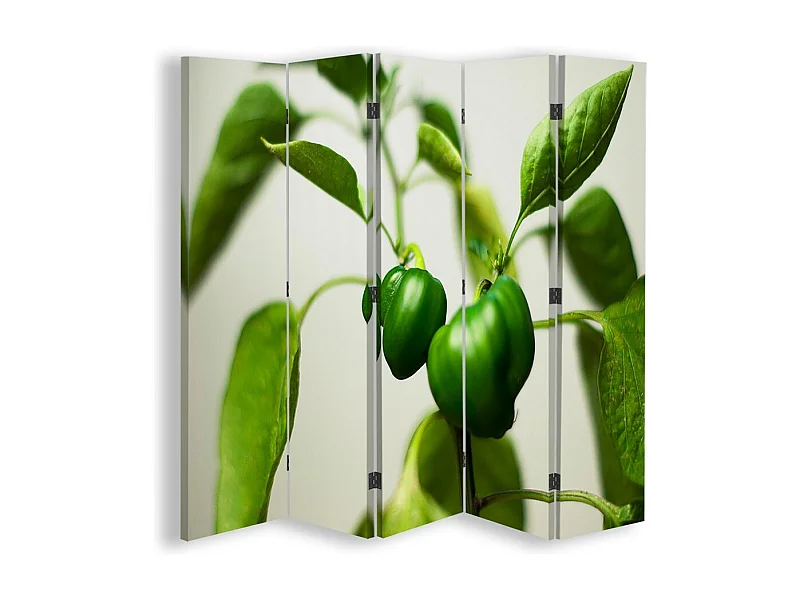 Paravento bilaterale, Peperone verde su un ramo - 180x170