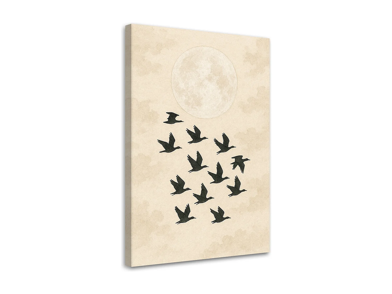 Quadro su tela, Uccelli Venezia (in volo) Minimalismo Beige Luna - 40x60