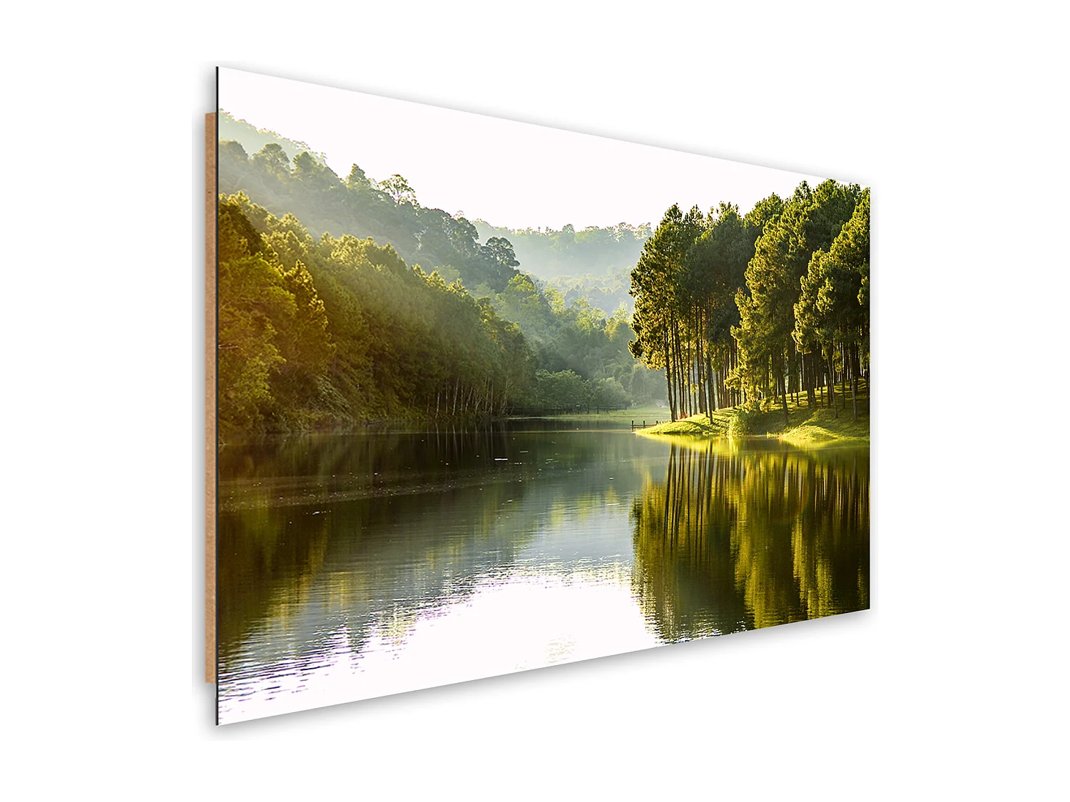 Quadro deco panel, Natura dell'albero della foresta paesaggistica - 90x60