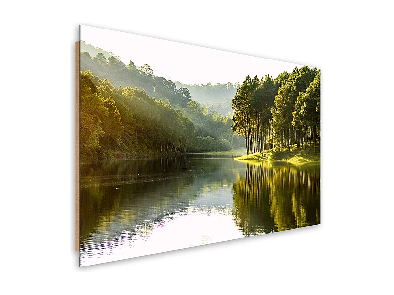 Quadro deco panel, Natura dell'albero della foresta paesaggistica - 90x60