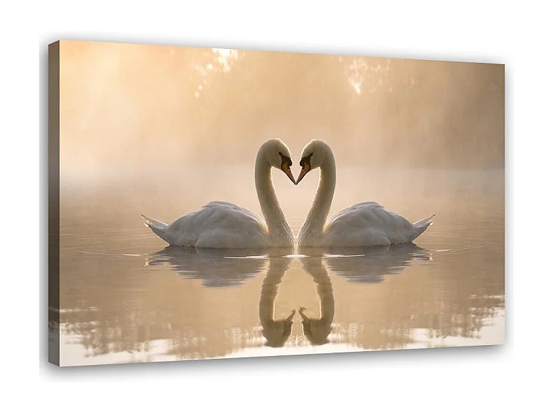Stampa su tela, Cigni su uno stagno al mattino - 60x40