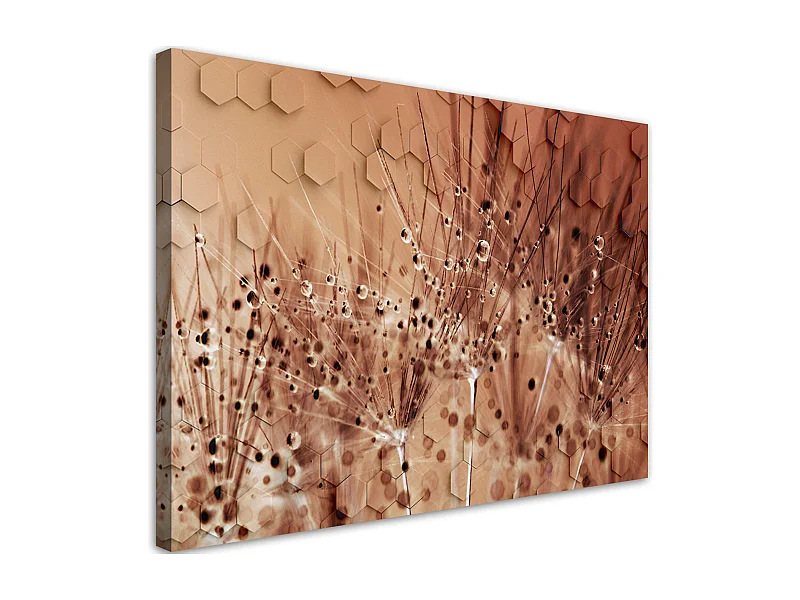 Quadro su tela, Dente di leone in gocce di rugiada - 100x70