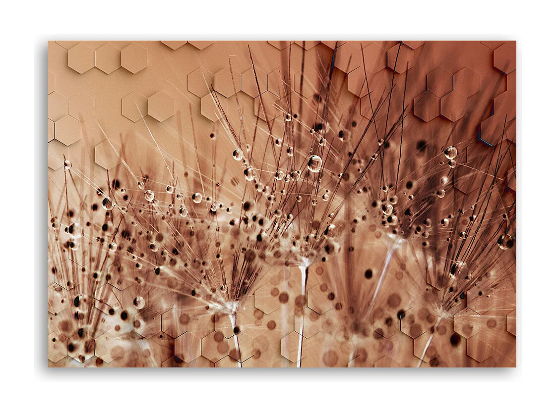 Quadro su tela, Dente di leone in gocce di rugiada - 100x70